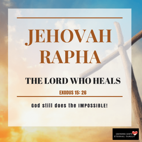Jehovah raphia-3