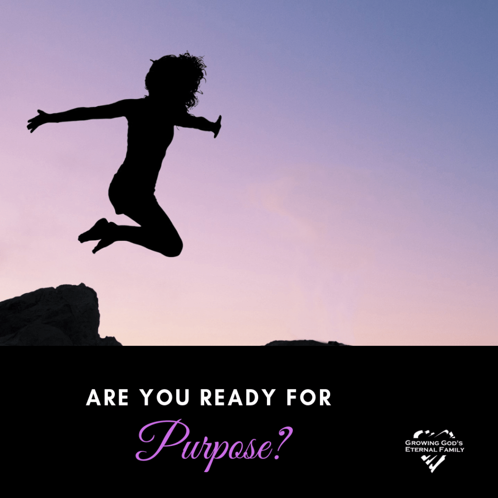 Are you ready for&nbsp;purpose?