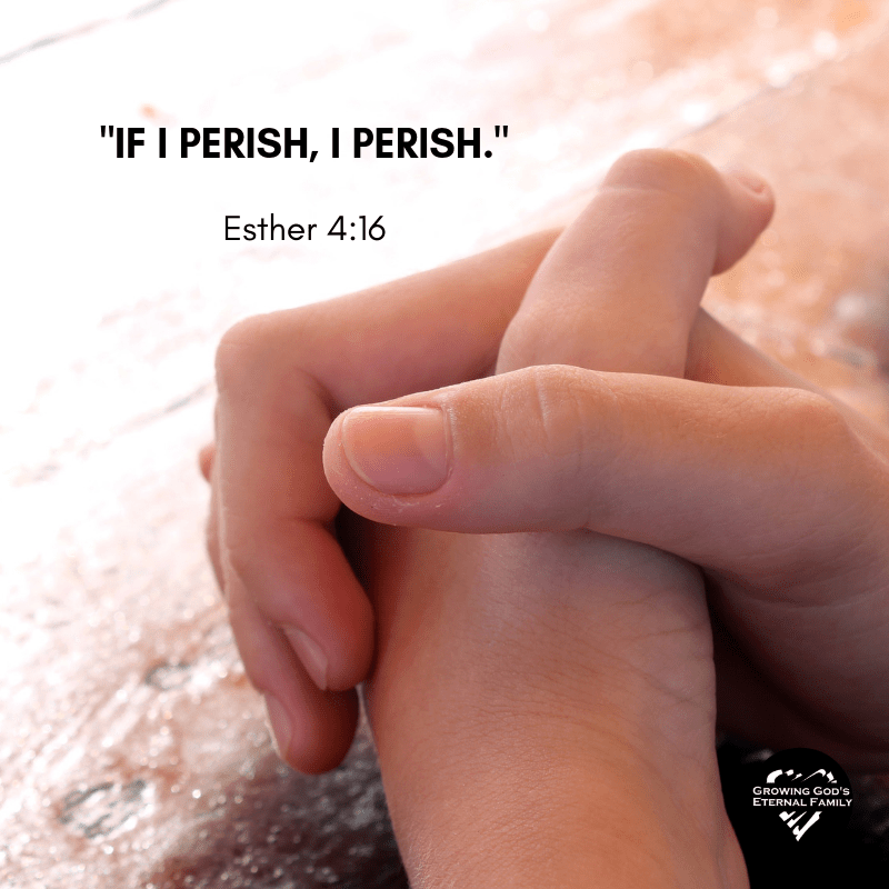 If I Perish, I&nbsp;Perish