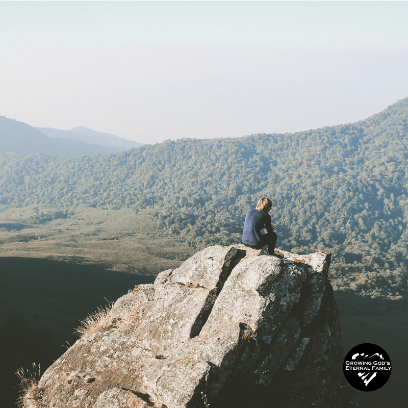 Get Wisdom this&nbsp;Year