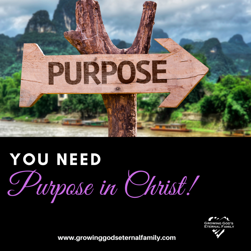You NEED Purpose in&nbsp;Christ