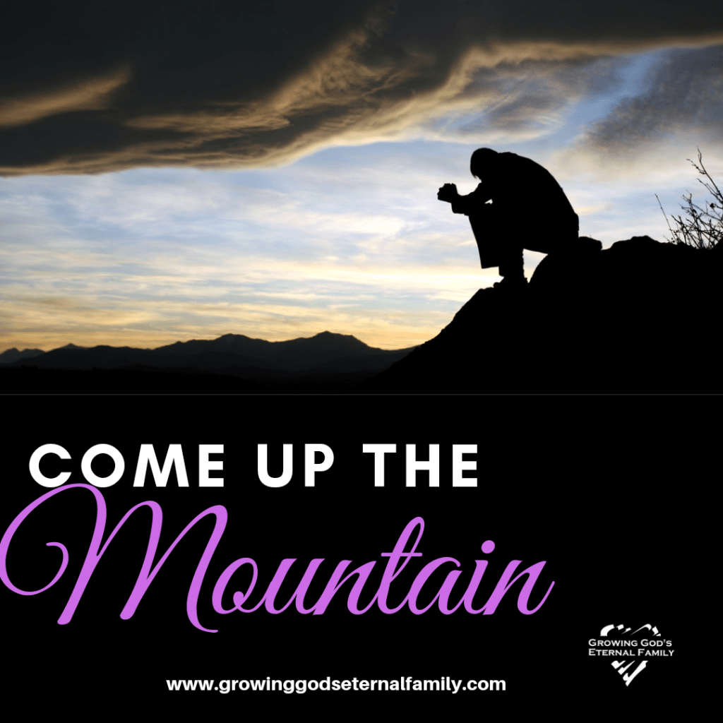 Come up the&nbsp;mountain