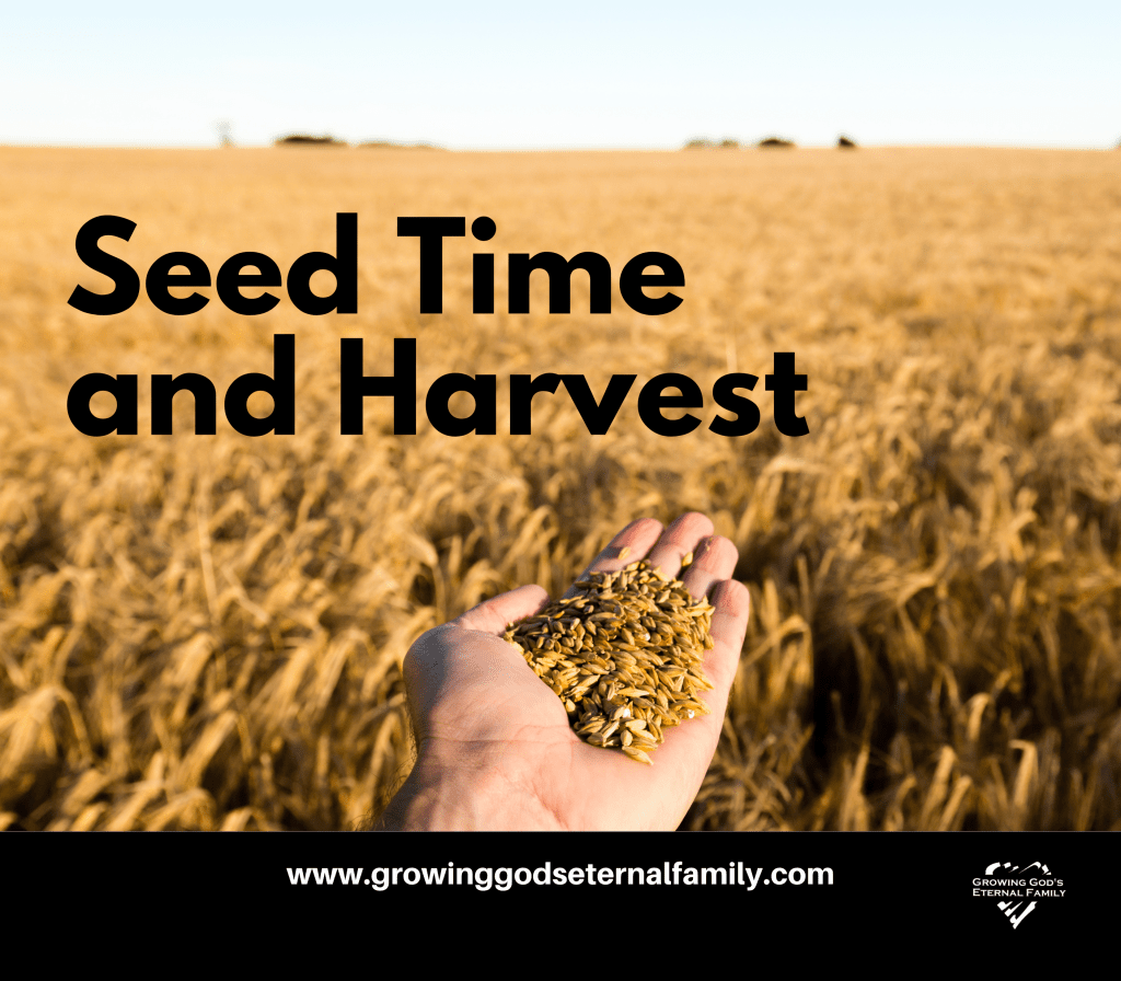 Seed Time and Harvest (Part&nbsp;1)