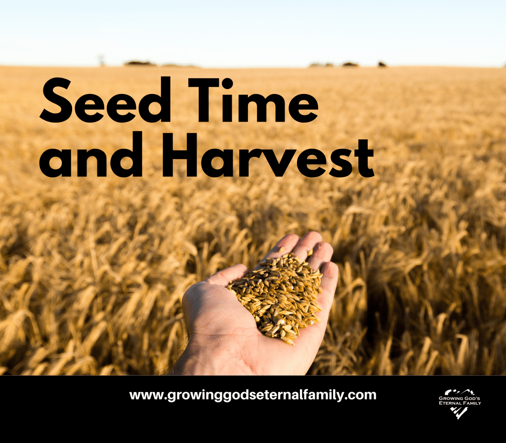 Seed Time and Harvest (Part&nbsp;2)